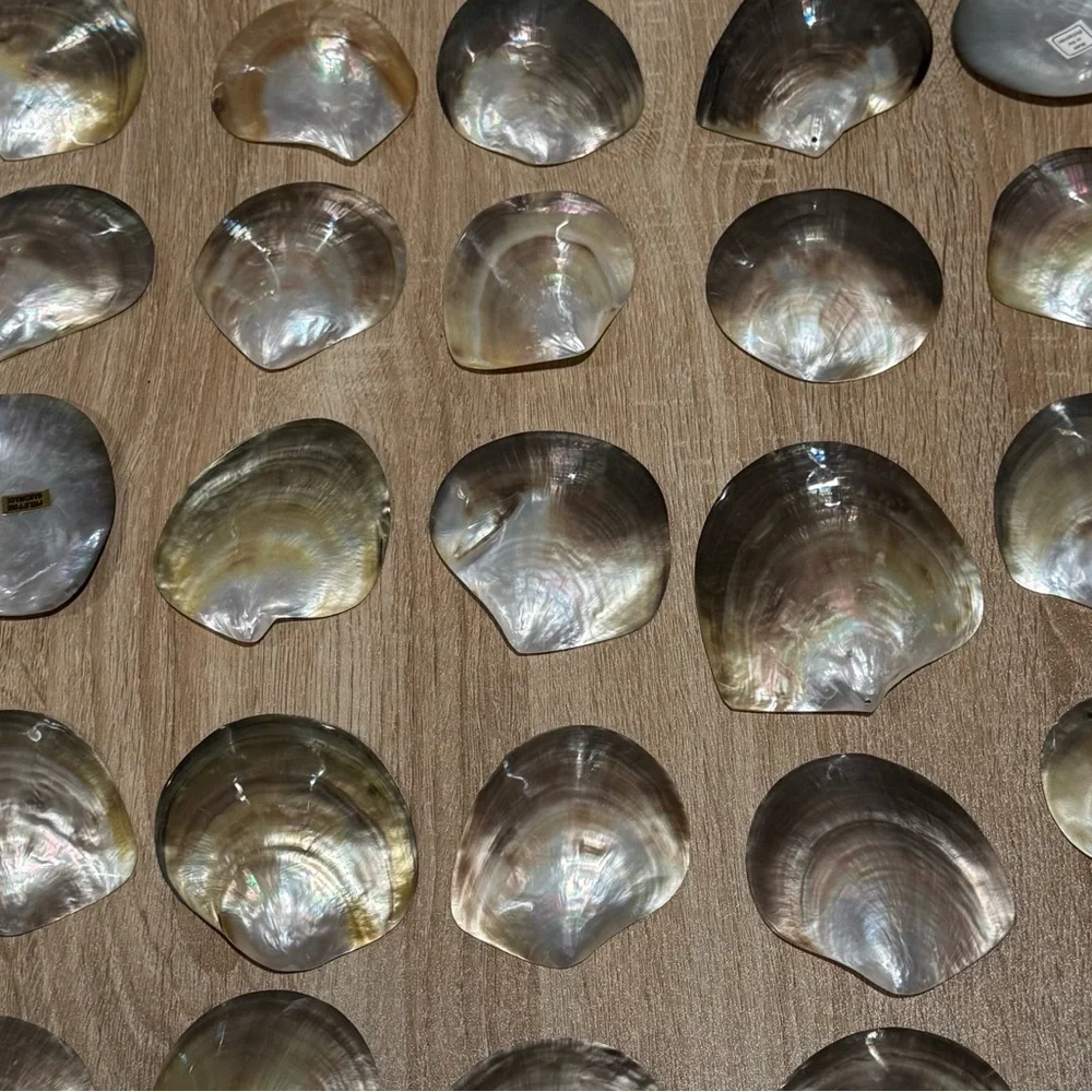 Mother of Pearl Shells- 35 pieces - Picture 4 of 6
